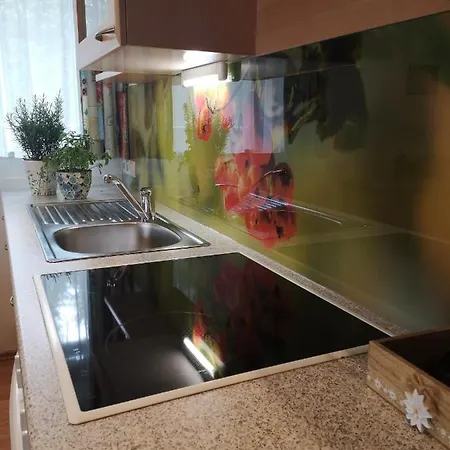 Landappartement Ramsau Apartamento *